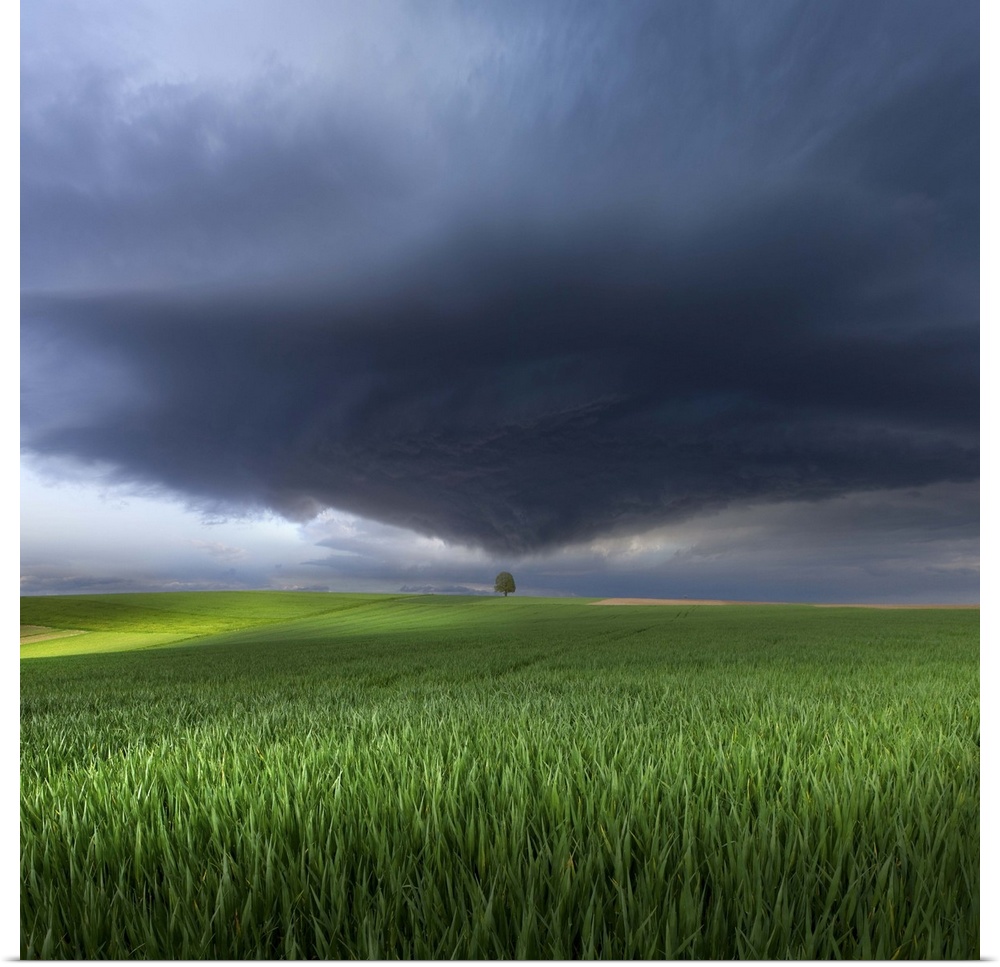 A dark storm cloud heading towards a tree in a green field in Germany.