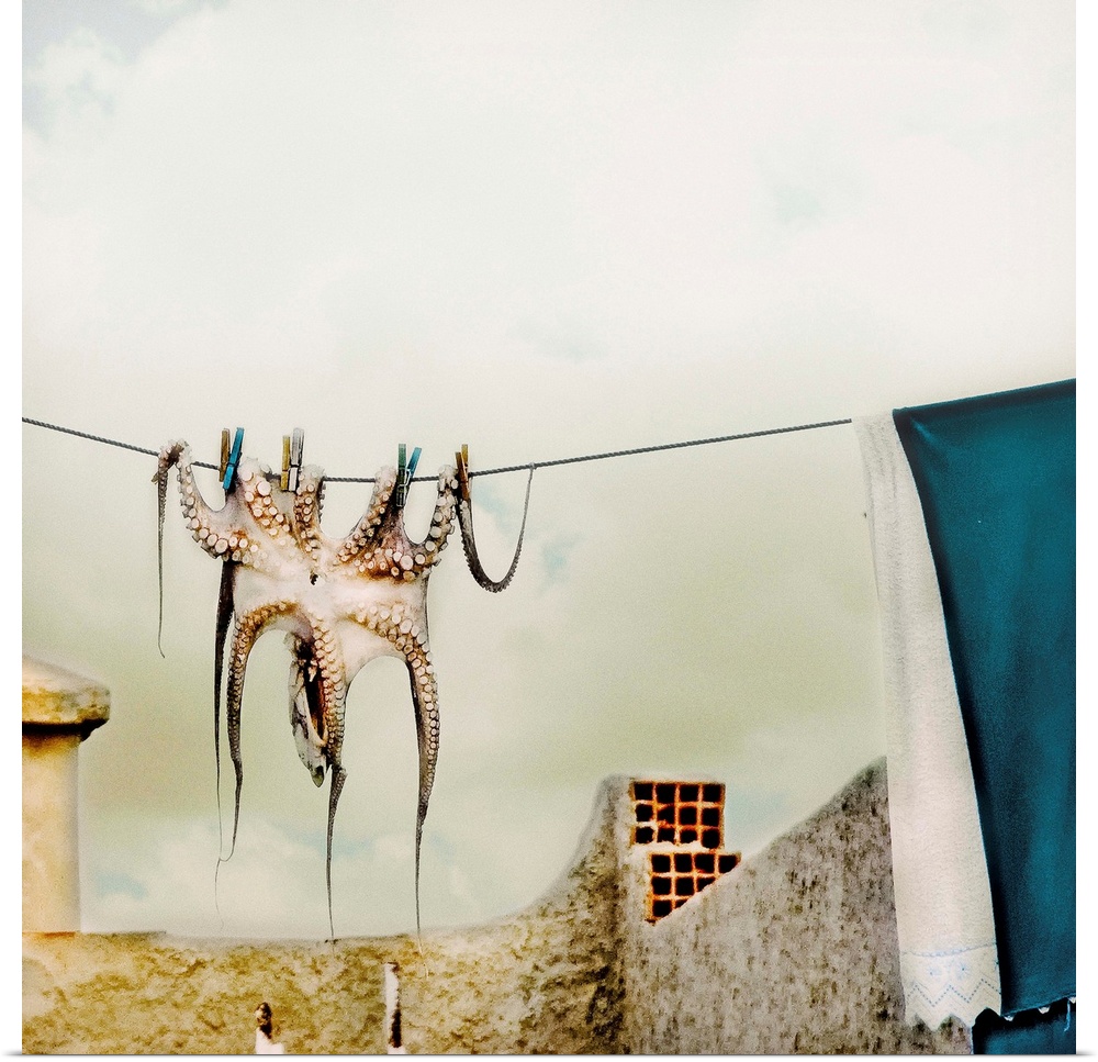 An octopus hangs on a laundry drying line in a village.