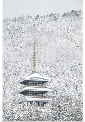 Tower of Winter