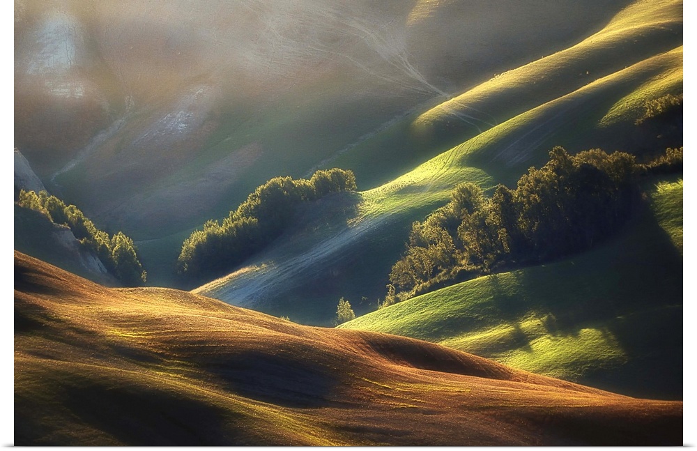 Trees nestled in the hills of the Tuscany valley, with morning light shining down.