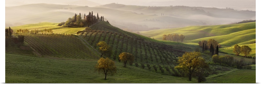 Tuscan countryside scene in early morning light with fog rolling in over the valley, Italy.