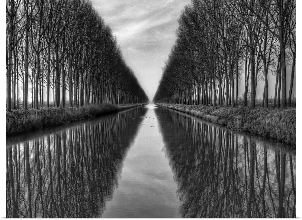 Black and white image of trees lining a canal in Belgium.
