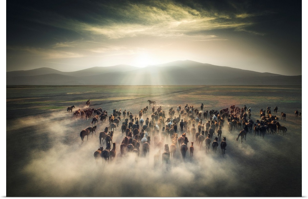 A stunning fine art photograph of a herd of wild ponies out on a prairie. The rays of the sun illuminate the dust rising f...