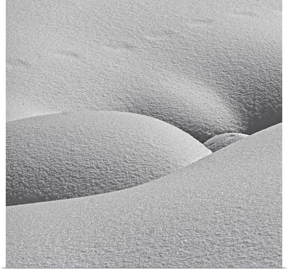 Smooth curves of the snow on the taiga in Siberia.