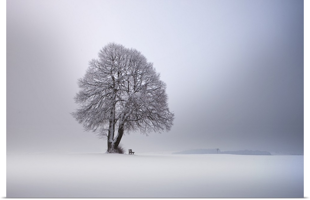 A lone tree in a snow-covered landscape wit ha small bench, Germany.