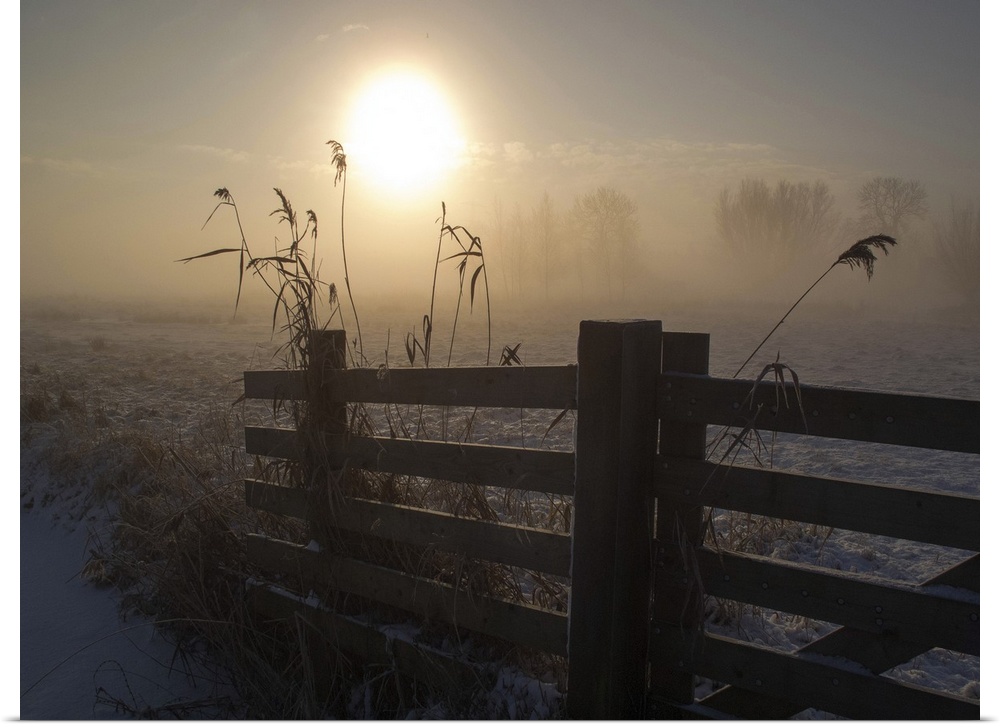 The winter sun shining on a fence in a farm field.