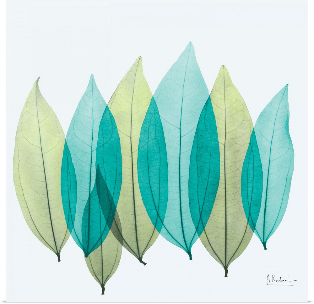Square canvas of transparent different colored leaves on a blank background.