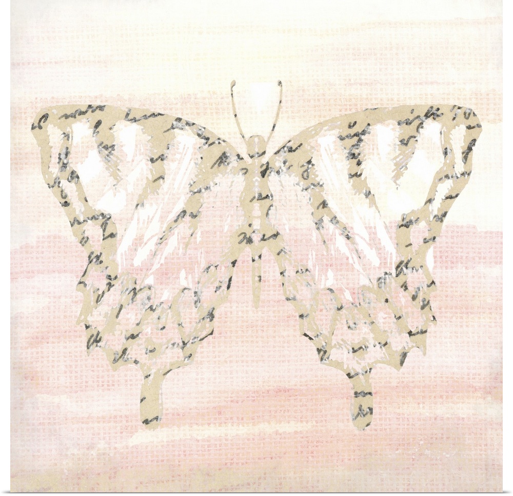 An outline of a butterfly with an overlay of black handwritten text placed on a warm watercolor background.