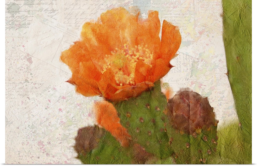 A watercolor painting of an orange cactus flower on a collage of handwritten postcards and colorful paint splatter.