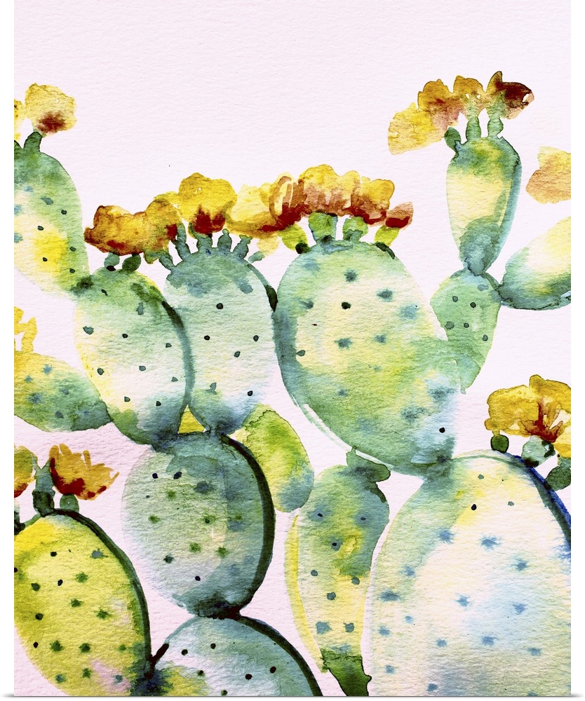 Watercolor painting of a prickly pear cactus in shades of green, blue, yellow, and red on a white background with a magent...