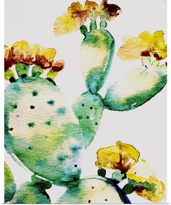 Cactus II