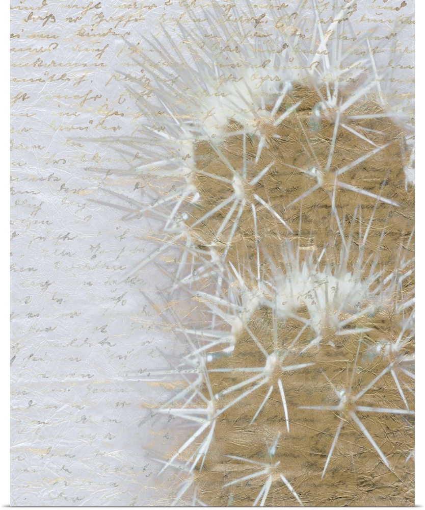 Gold desert cactus on a white background with faint gold handwritten text.