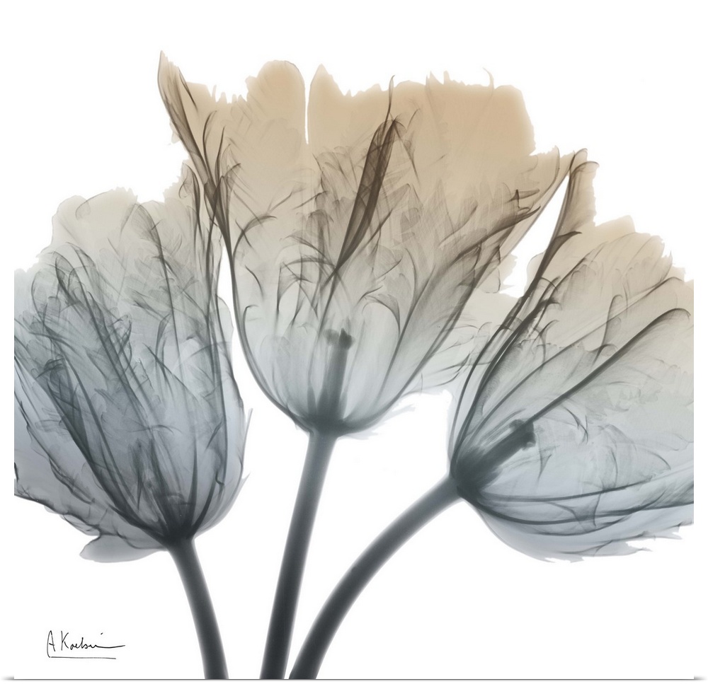 Contemporary home decor artwork of an x-ray photograph of a flower.