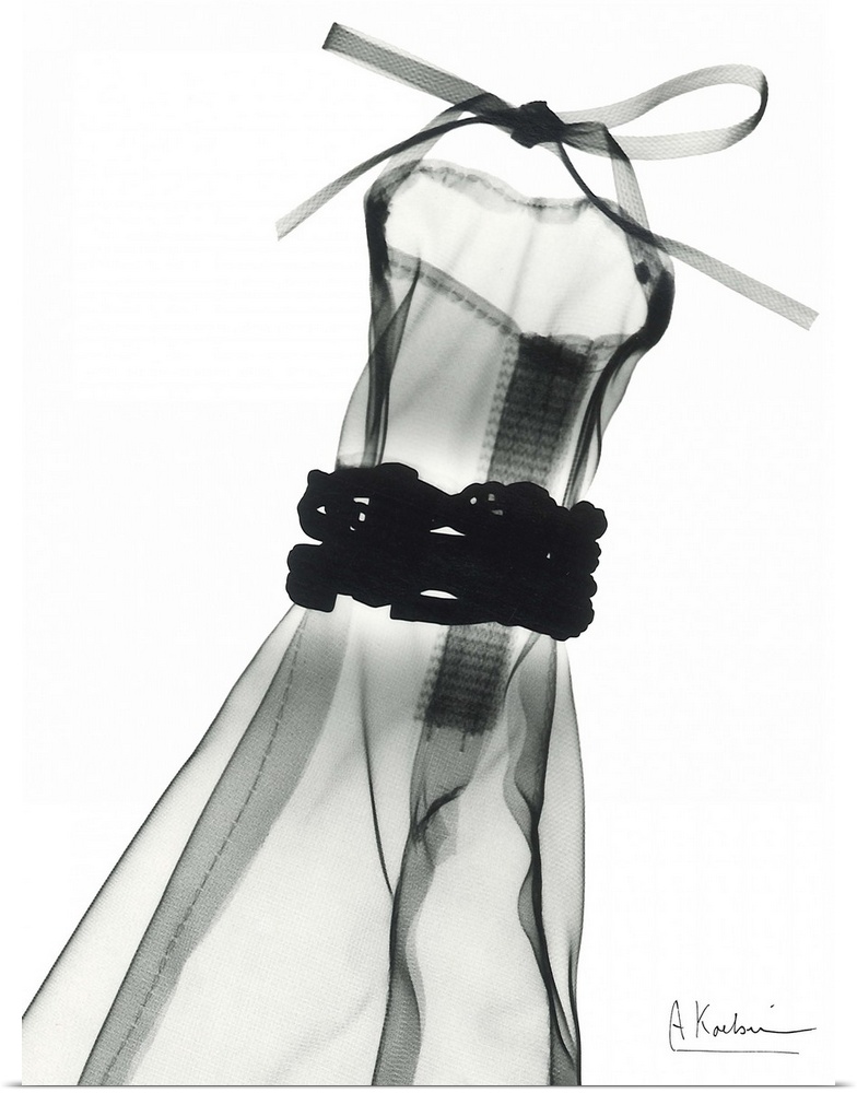 Vertical x-ray photograph of a dress, against a light background.