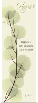 Eucalyptus Happiness
