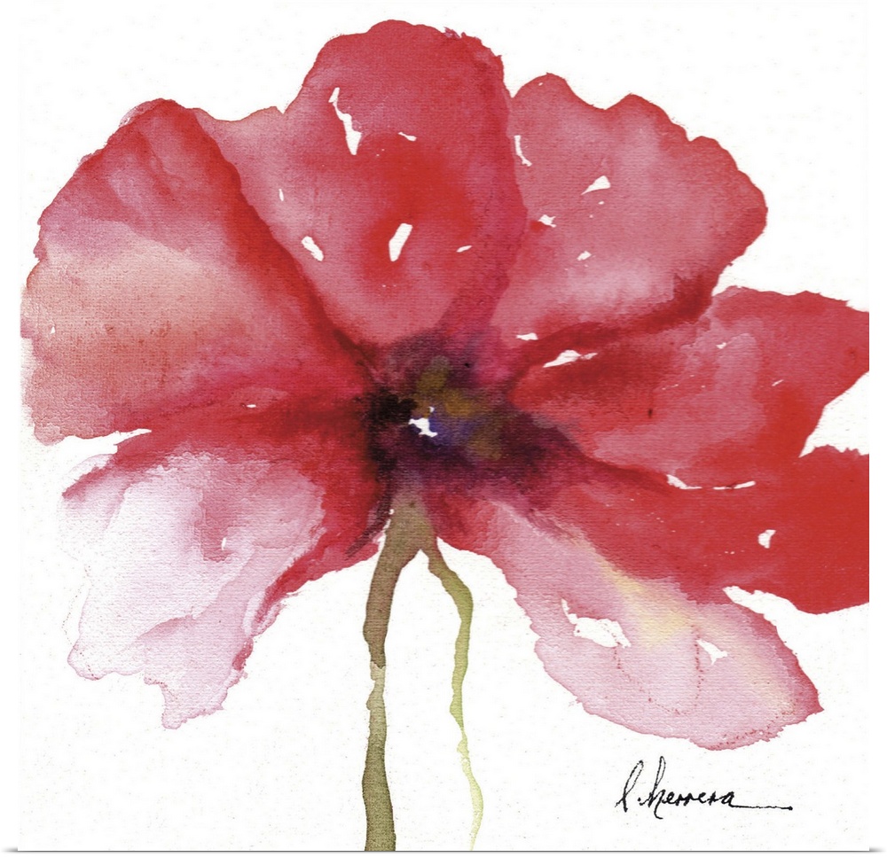 Watercolor painting of a large red flower.