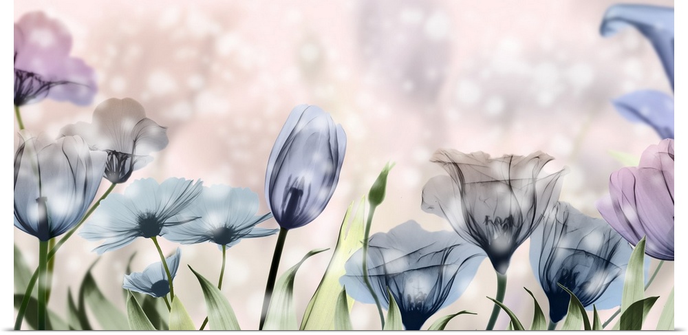 X-ray style photograph of pink and blue flowers in a garden with bokeh lights.