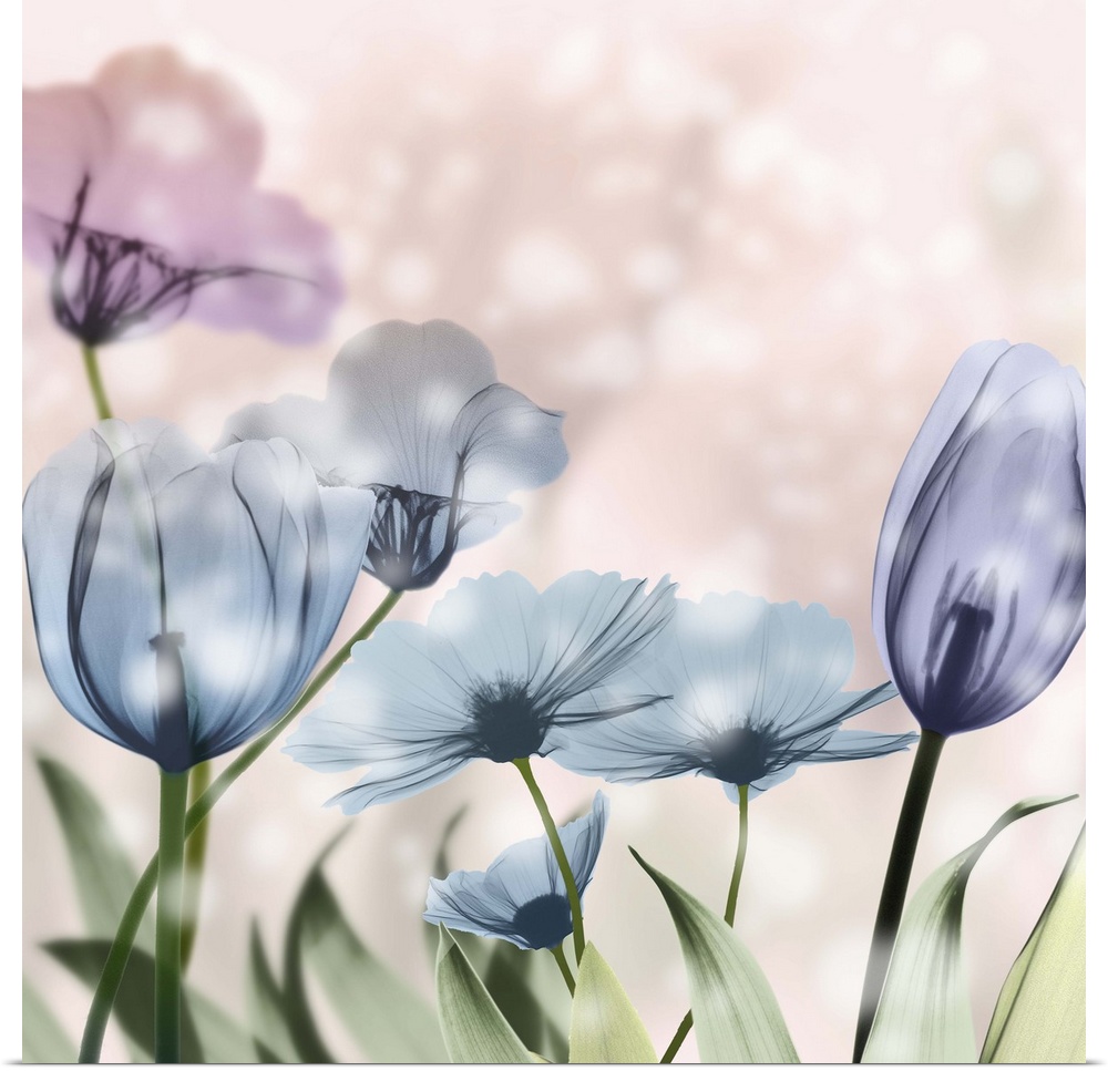X-ray style photograph of blooming flowers in pink and blue with bokeh lights.