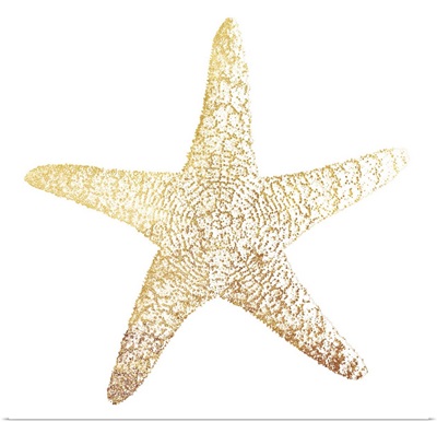 Gold Foil Starfish