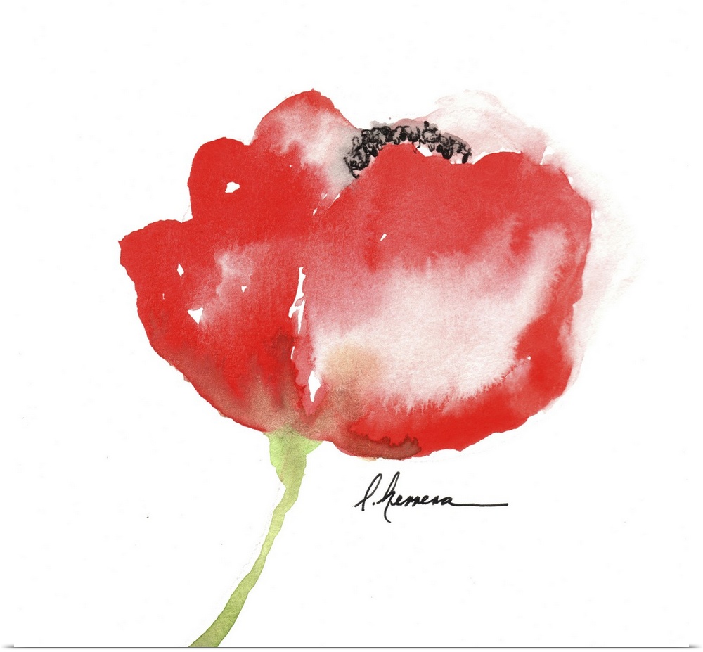 Watercolor painting of a red poppy flower.