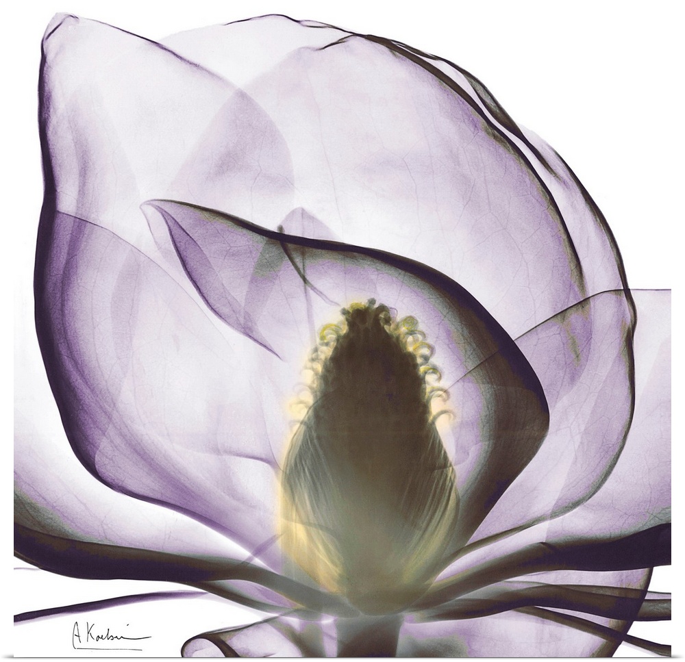 This square wall art is a close-up photograph of a flower blossom.
