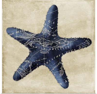Map Starfish, Indigo