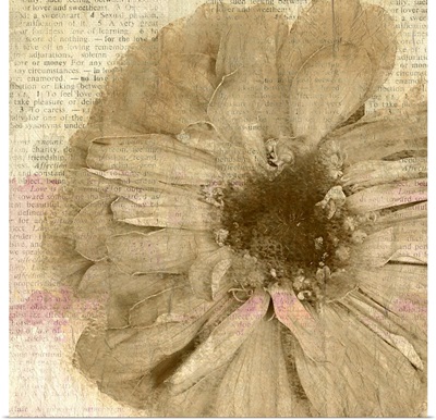 Newspaper Floral I
