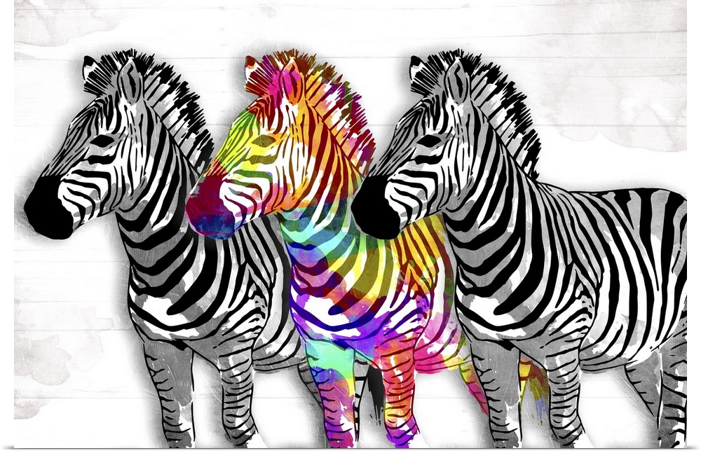 Contemporary artwork of a zebra with multi-colored paint.