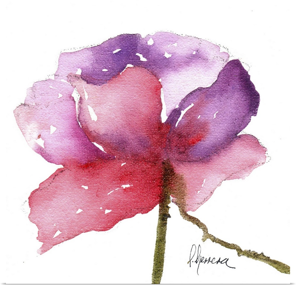 Contemporary watercolor painting of a vibrant pink flower against a white background.