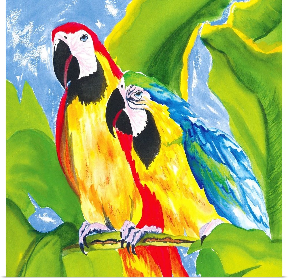 Contemporary artwork of two brightly colored macaw parrots, sitting on a branch together. Surrounded by large lush tropica...