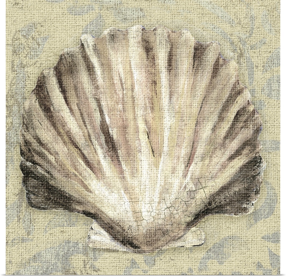 Artwork of a beige scallop shell against a cream colored background.