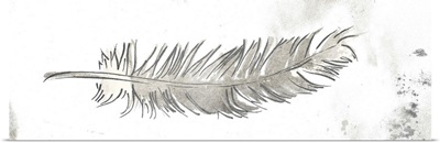 Silver Feather II
