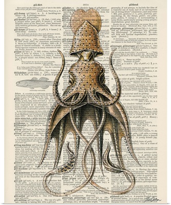 Squid II
