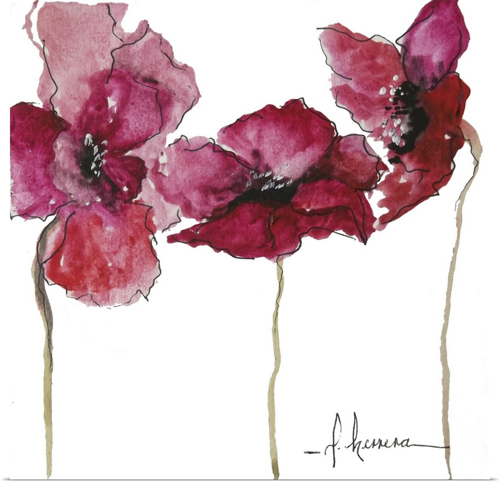 Watercolor painting of three red poppy flowers with long stems.