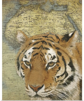 Tiger on Africa map