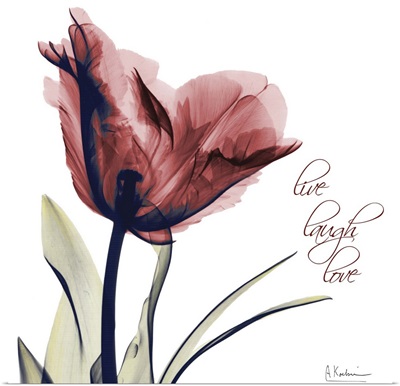 Tulip Live, Laugh, Love x-ray photography