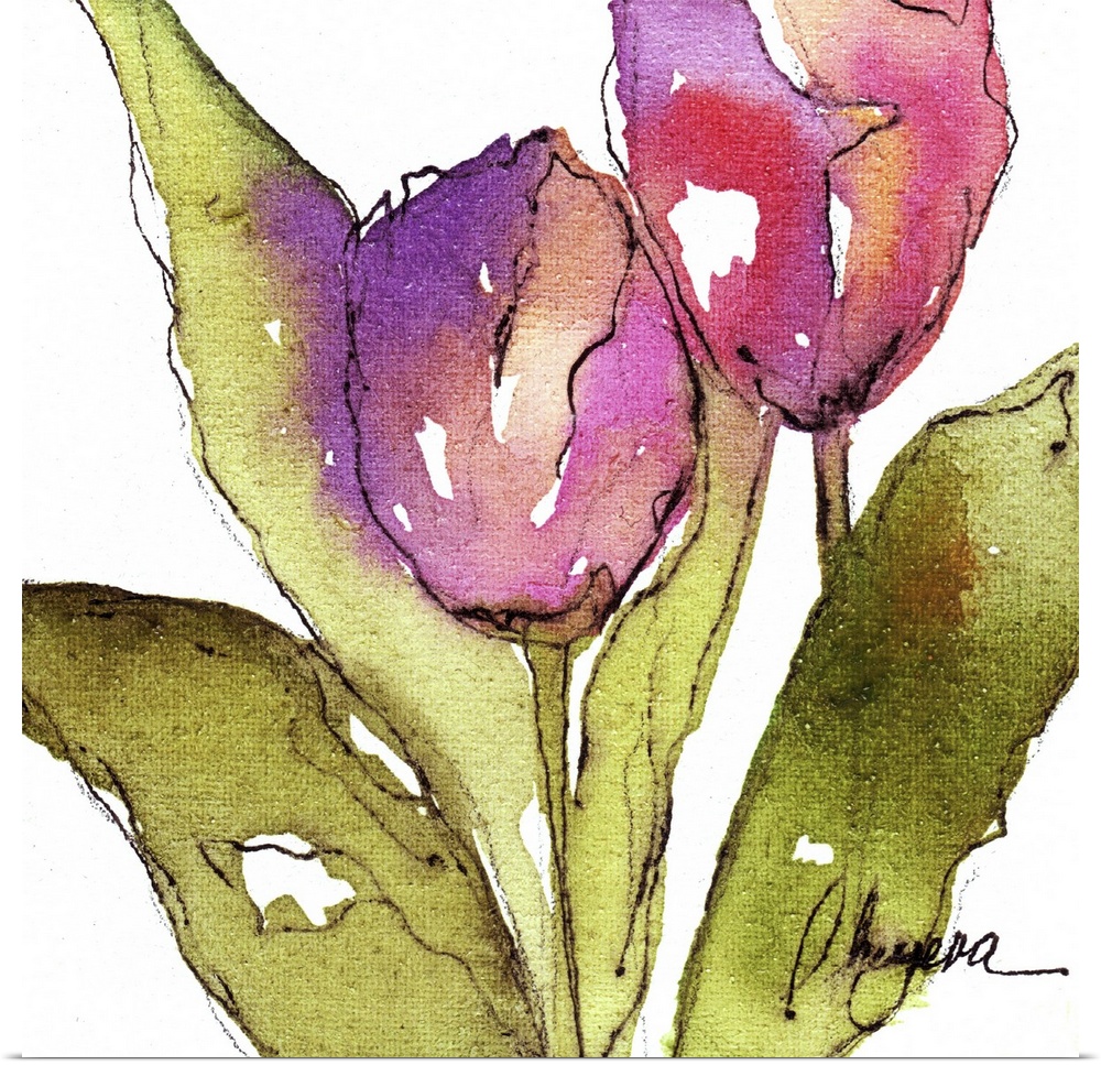 Two pink tulips with broad green leaves in watercolor and ink.