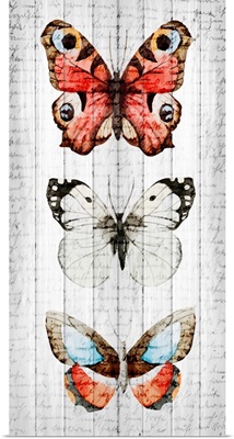 Vintage Butterfly II