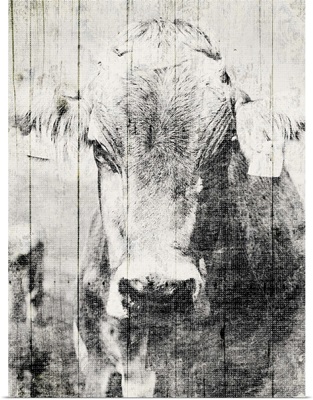 Vintage Cow