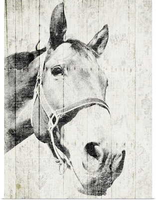 Vintage Horse