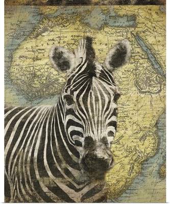 Zebra on Africa map
