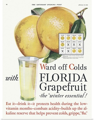 Florida Grapefruit Advertisement