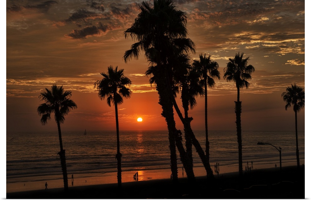Orange colored sunset and tall silhouetted palms near the Oceanside Pier, Oceanside, California, USA.