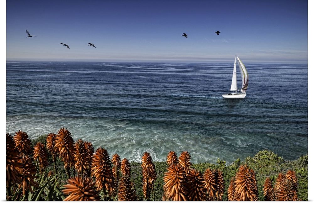 San Diego coastline with sailboat