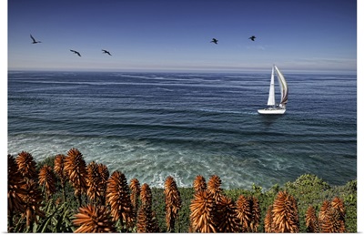 San Diego Coastal