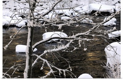Snowy Merced River