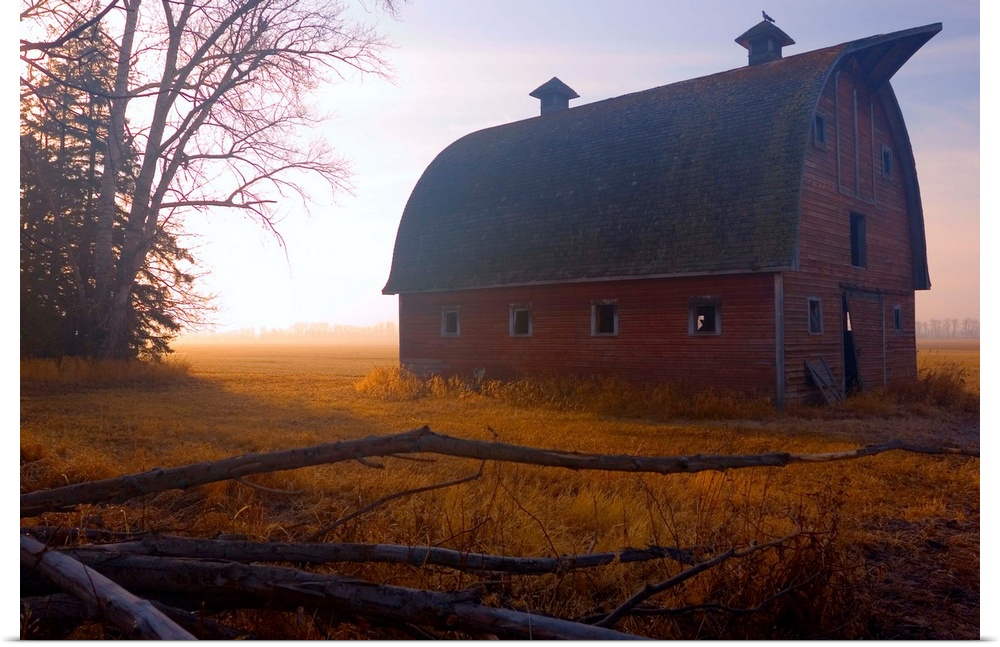 A large barn is photographed in the morning during sunrise and there is a thin layer of fog over the land.