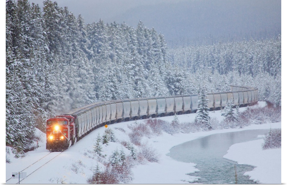 A Canadian Pacific Train, Alberta Highway 1A, Lake Louise, Alberta, Canada