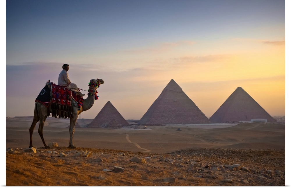 A lone camel and rider stand in front of the setting sun with the great pyramids behind them; Giza, Egypt