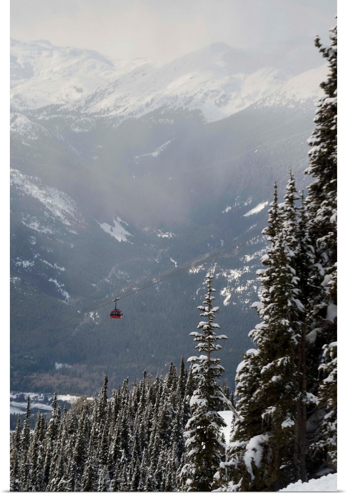 A Red Cable Car Riding Over Snow Covered Forest, Whistler, BC, Canada